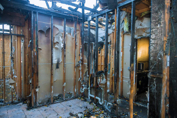 Professional Odor Removal technician working in Victoria, MN