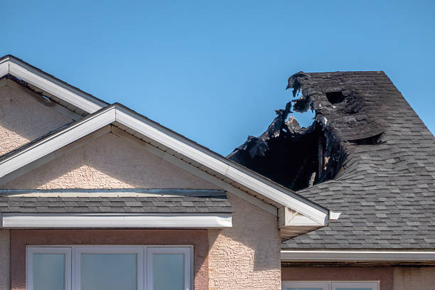 Top rated local Odor Removal specialists in Victoria, MN